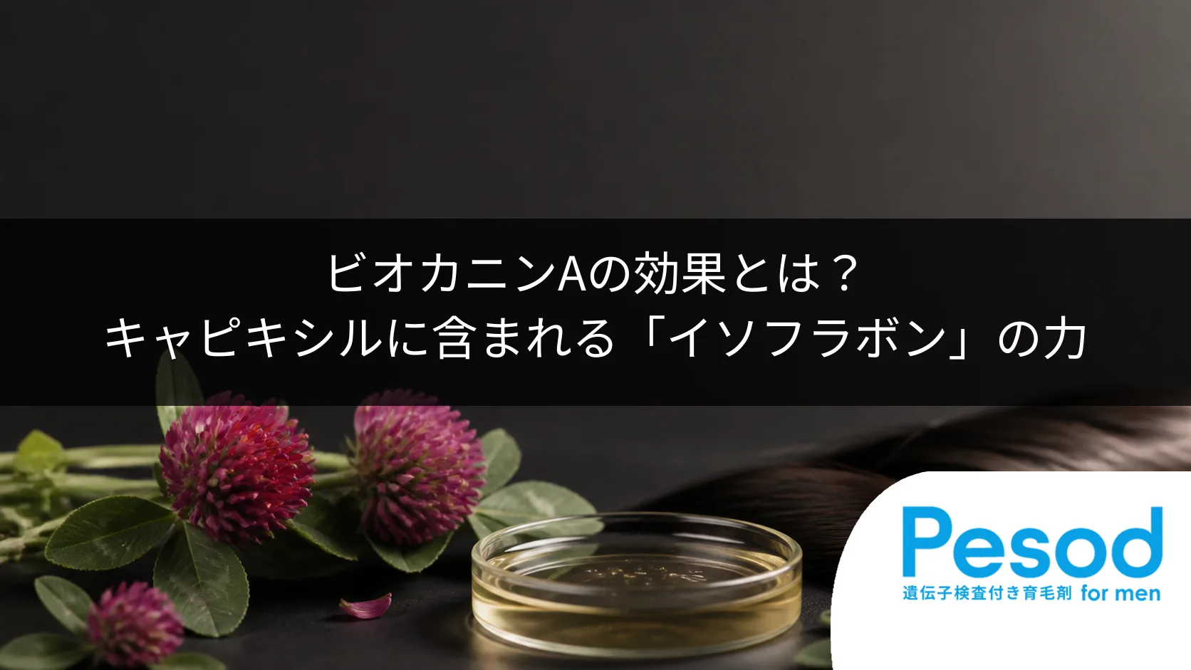 ビオカニンAの効果とは？キャピキシルに含まれる「イソフラボン」の力