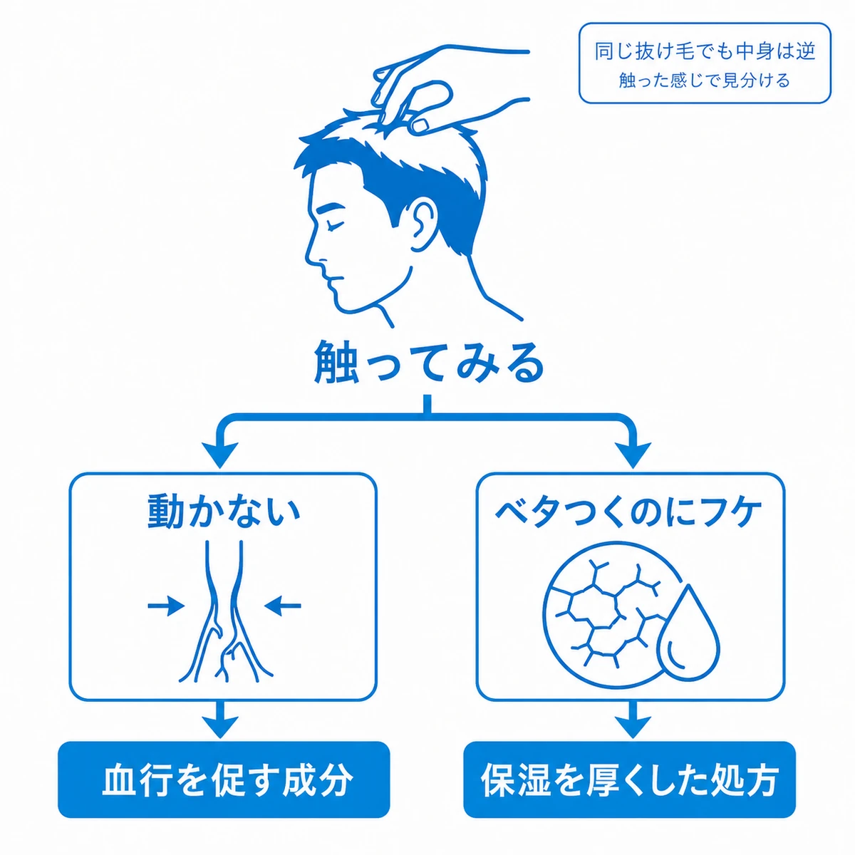 硬い頭皮とインナードライの頭皮を触って見分け選ぶ成分を変えることを示した図解