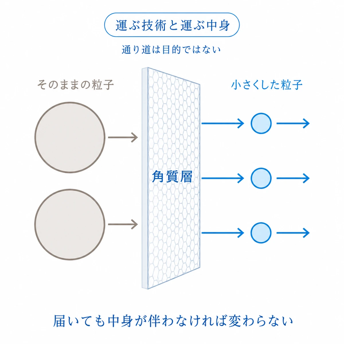 大きい粒子は角質層の網目を通れず小さくした粒子だけが通ることを表した図解