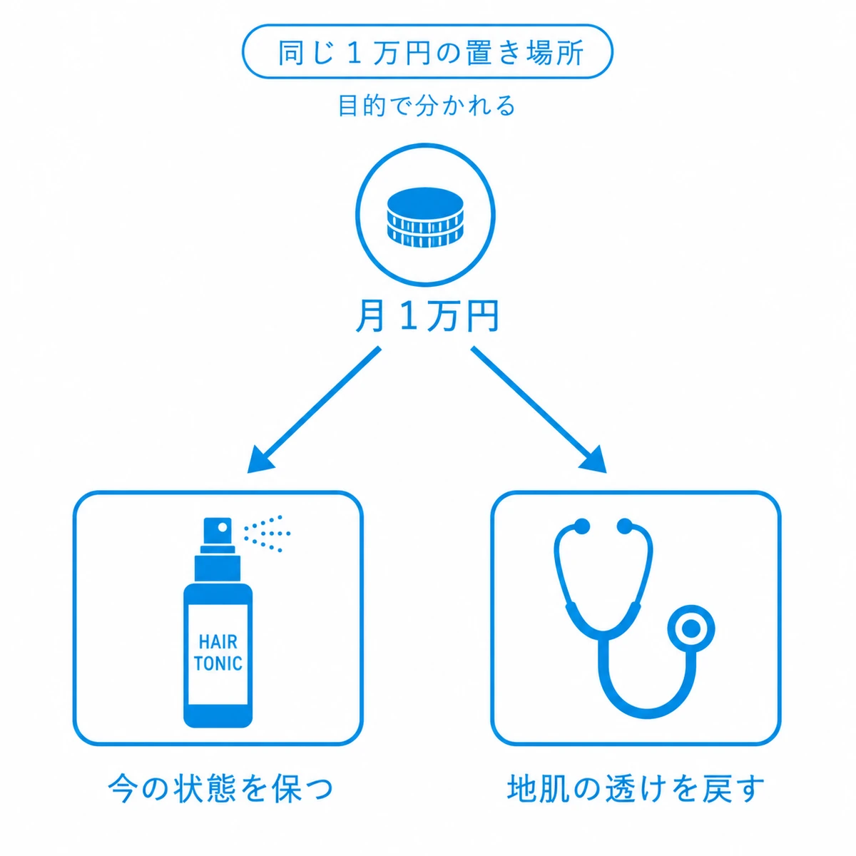 同じ月1万円を高級育毛剤に使うか医療機関のAGA治療に回すかを目的で分けた図解