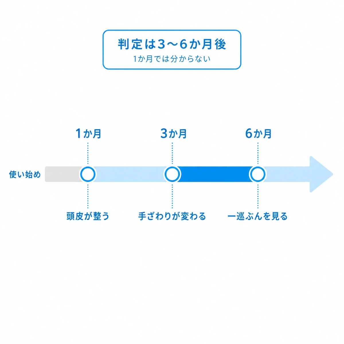 育毛剤の効果を判定する目安が3〜6か月後になることを時間の流れで示した医療イラスト