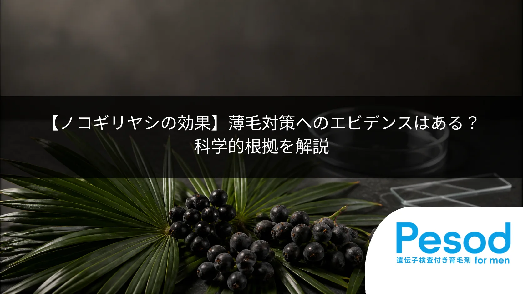 【ノコギリヤシの効果】薄毛対策へのエビデンスはある？科学的根拠を解説