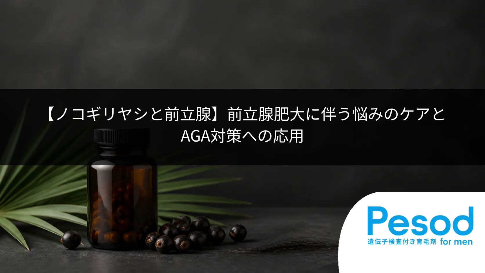 【ノコギリヤシと前立腺】前立腺肥大に伴う悩みのケアとAGA対策への応用