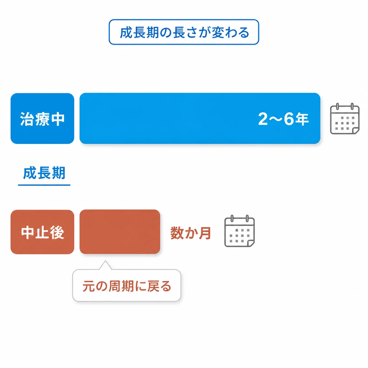 治療中と中止後で髪の成長期の長さがどれだけ違うかを2本の帯の長さで比べた医療イラスト