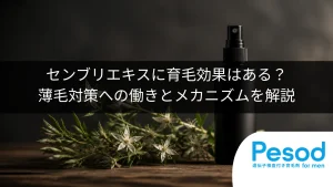 センブリエキスに育毛効果はある？薄毛対策への働きとメカニズムを解説