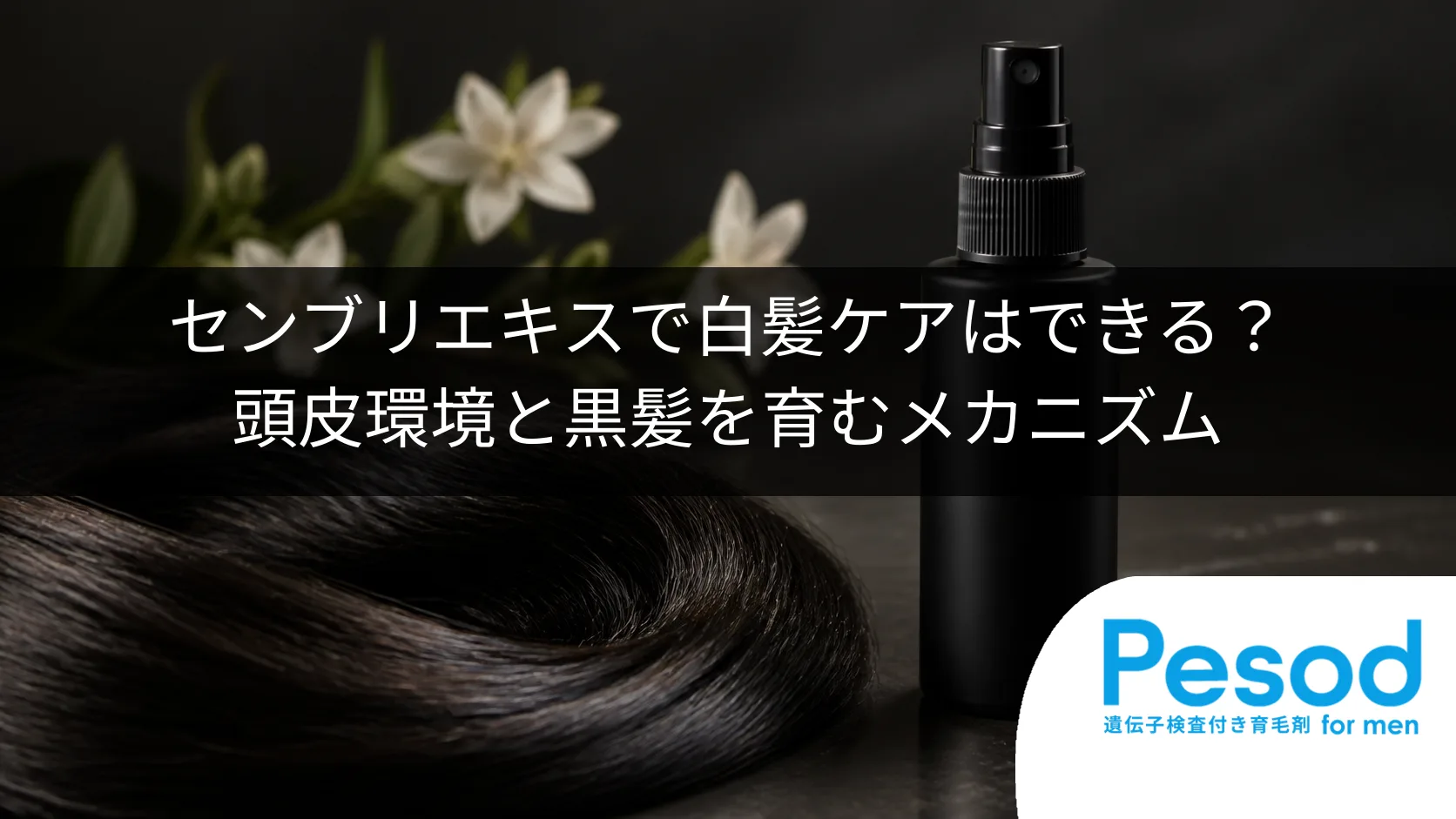 センブリエキスで白髪ケアはできる?頭皮環境と黒髪を育むメカニズム