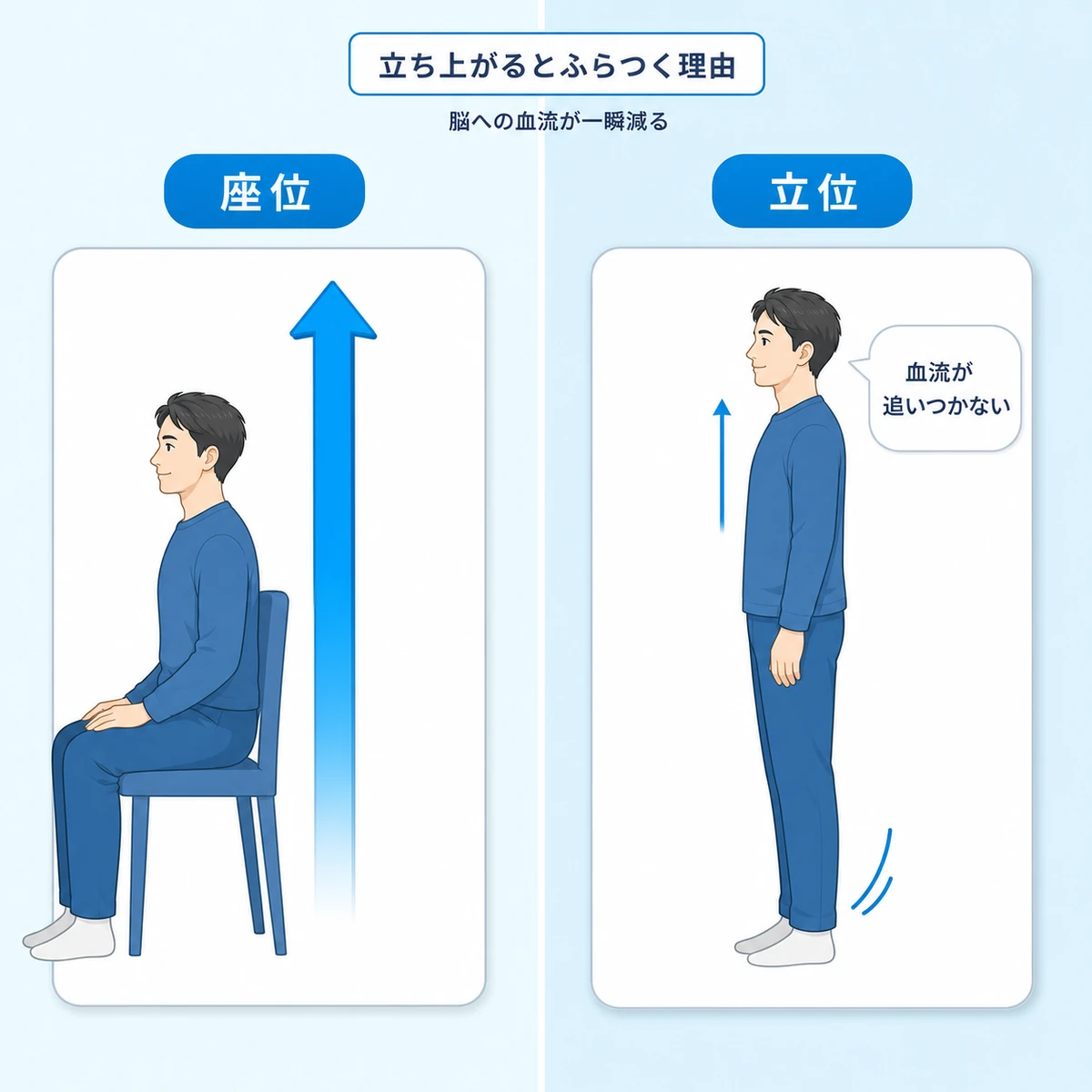 座った姿勢から立ち上がったときに頭へ向かう血流が減ってふらつく仕組みを左右で比べた医療イラスト