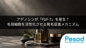 アデノシンが「FGF-7」を産生？毛母細胞を活性化させる発毛促進メカニズム