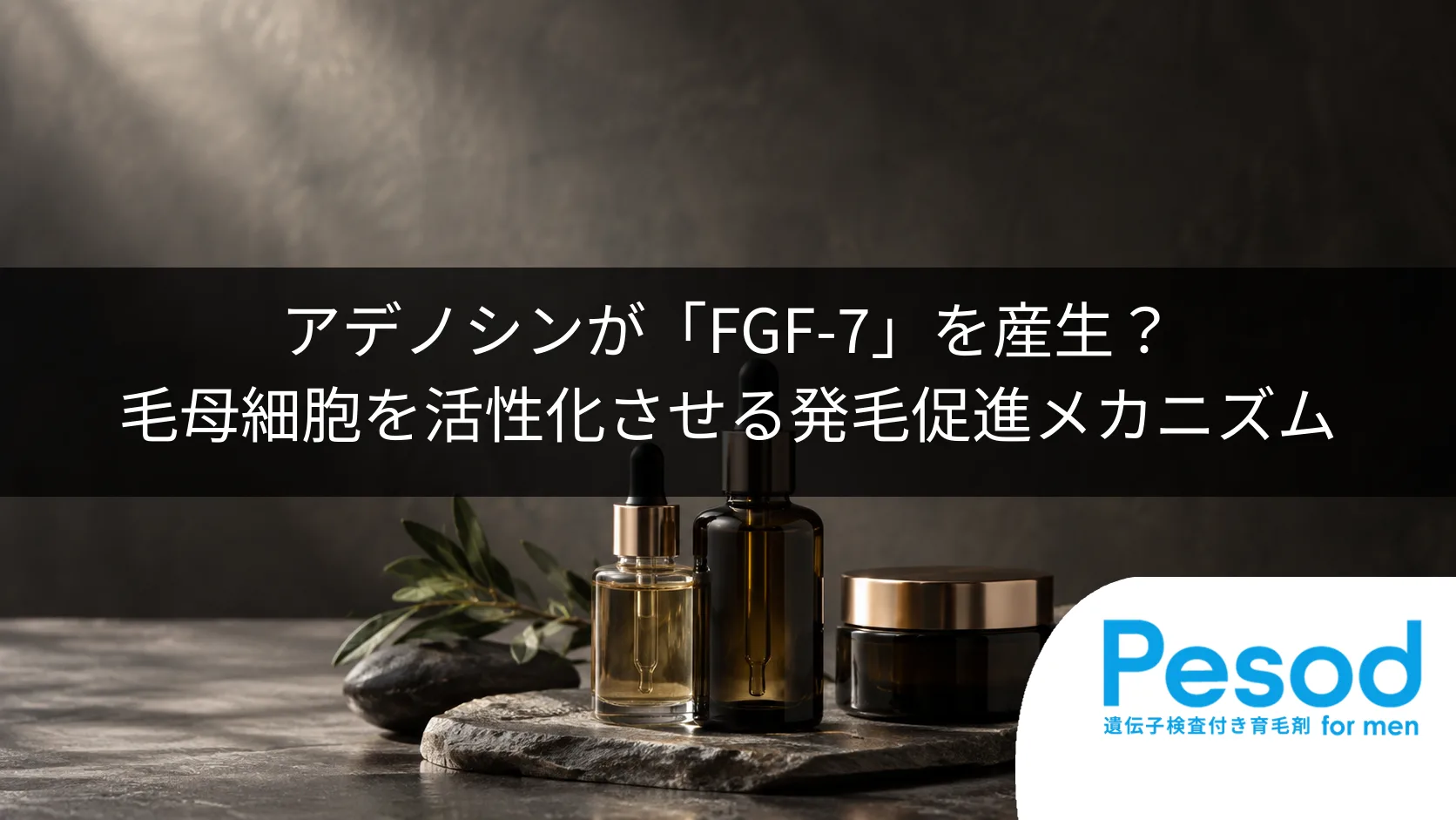 アデノシンが「FGF-7」を産生？毛母細胞を活性化させる発毛促進メカニズム
