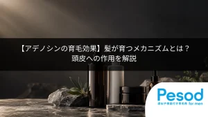 【アデノシンの育毛効果】髪が育つメカニズムとは？頭皮への作用を解説