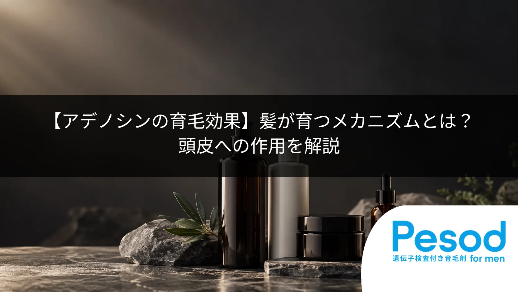 【アデノシンの育毛効果】髪が育つメカニズムとは?頭皮への作用を解説