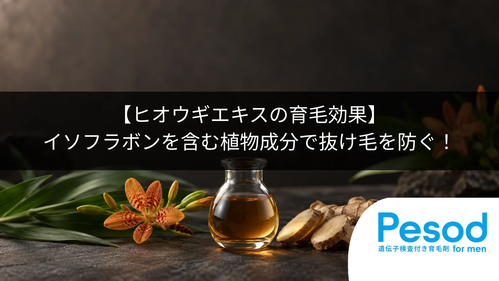 【ヒオウギエキスの育毛効果】イソフラボンを含む植物成分で抜け毛を防ぐ！