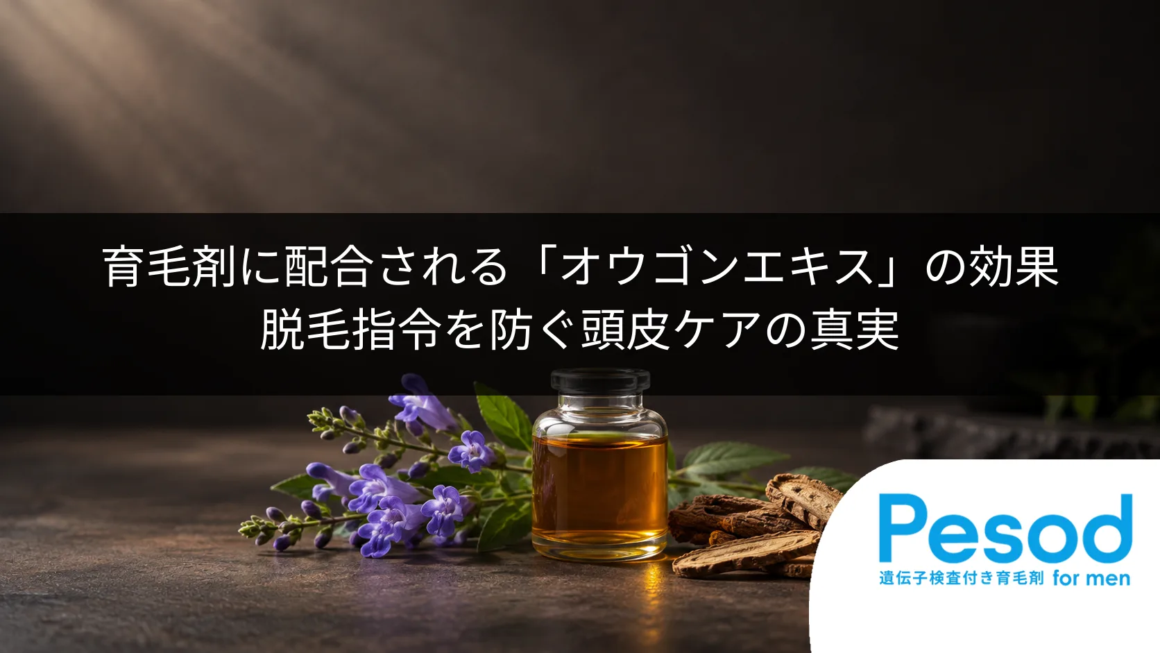 育毛剤に配合される「オウゴンエキス」の効果｜脱毛指令を防ぐ頭皮ケアの真実