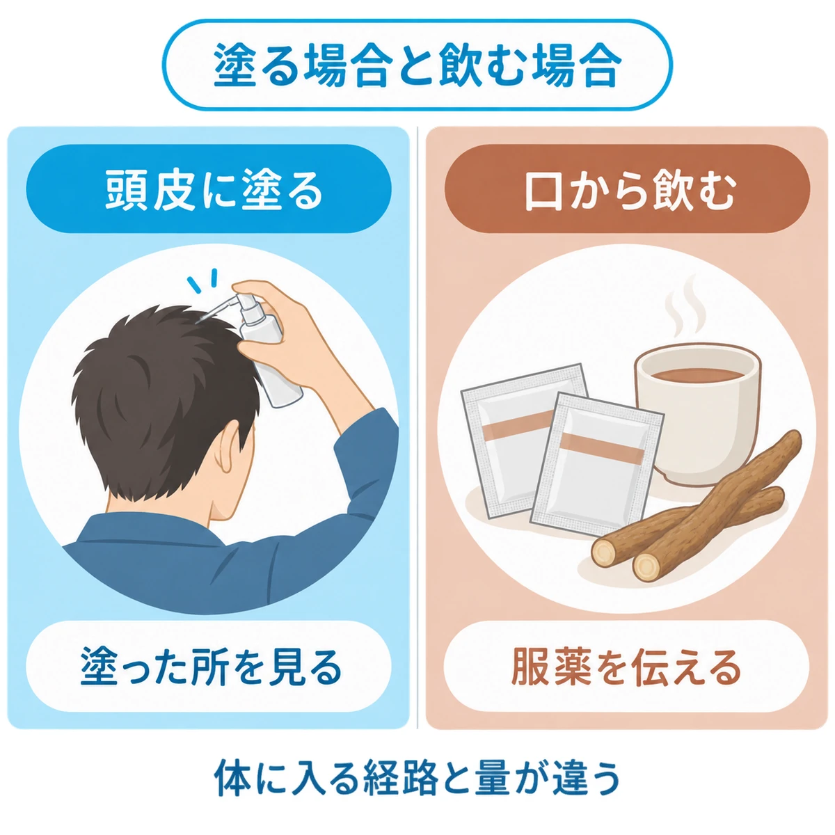 頭皮に塗る場合と甘草を口から飲む場合の注意点を左右に分けた図