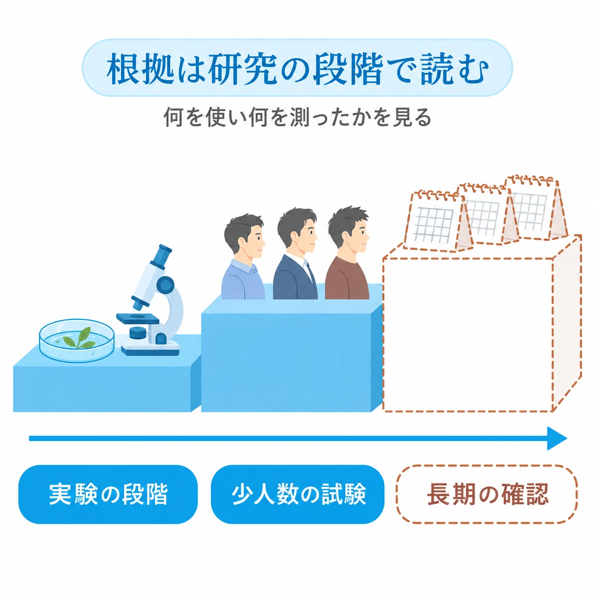 実験、少人数の試験、長期の確認という研究段階を階段で示した図